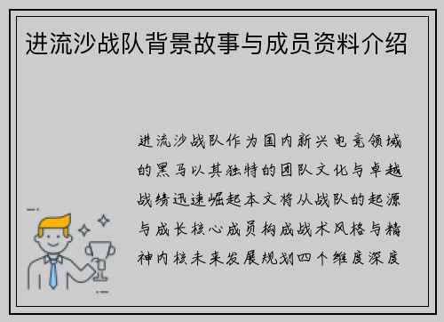 进流沙战队背景故事与成员资料介绍